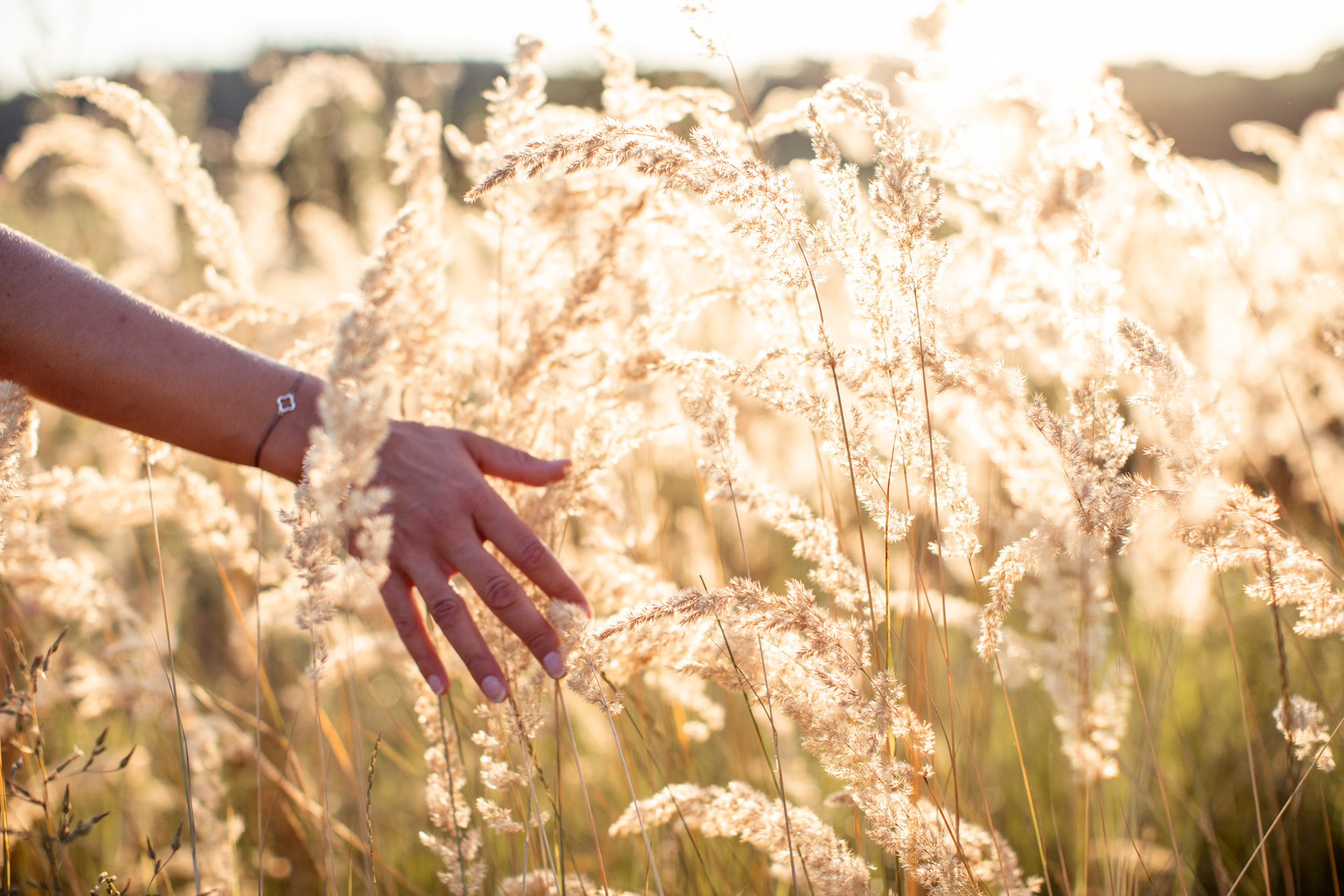 Natur, Hand streift Gräser